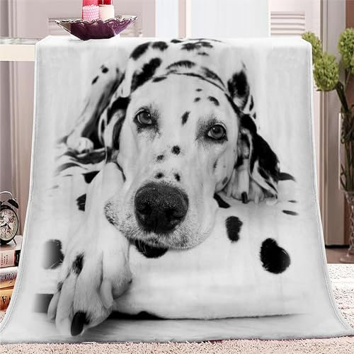 Kuscheldecke 130 x 150cm Tiergefleckter Hund 3D Druck Fleecedecke Flanelldecke Weich Wohndecke Sofadecke Zweiseitige Decke Für Kinder Jungen Erwachsene