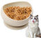 Plato de Comida para Gatos de Silicona, tazón de Mascota de Silicona,Placas de alimentación de Gatos no deslizantes - Tazas de succión y Bordes elevados para el Agua de Alimentos Secos húmedos evitan