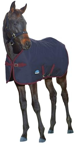 WeatherBeeta 1200D Foal Standard Neck 220g, Navy/Burgundy, 5'0