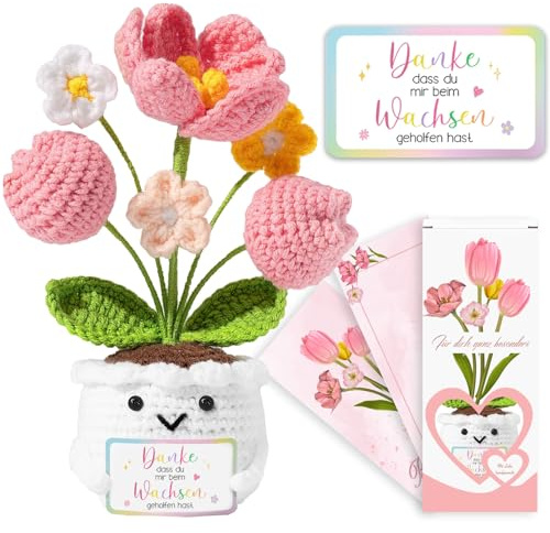 QUANMAITONG Dankeschön Geschenke Danke DASS Du Mir Beim Wachsen Geholfen Hast Thank You Erzieherin Geschenk Glücksbringer Positive Kartoffel Pocket Hug Geschenk Für Frauen Kollegen Frau Freundin (D)