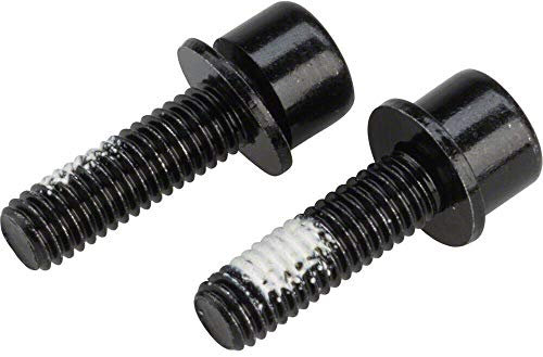 Rear Flat Mount Caliper Bolt - Pair - 17mm