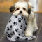 DIGIFLEX Set aus 3 XL Soft Hunde-, Katzen-, Haustierfleece-Decken -Plüschüberwurf - Beige, Grau und Schwarz - 144cm x 96cm