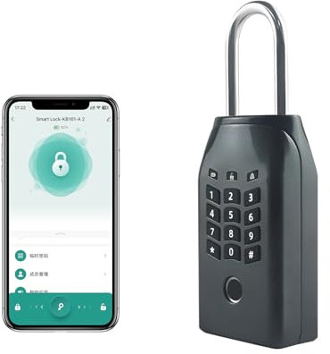 TenixLox Boîte de verrouillage à clé pour l'extérieur, boîte à clés intelligente, pour empreintes digitales/application Tuya/clé/mot de passe, déverrouillage à distance sans fil, pour clé de maison et