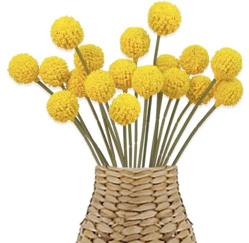 Wekuw 18 Stücke Billy Bälle Kunstblumen, Trockenblumen, Craspedia Globosa Getrocknete Blumen, Künstliche Blumen, Senfgelb Deko für Hochzeit Party Tischdeko Fotografie Requisiten Dekoration