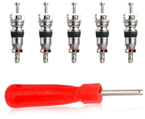 IBXWMNG Dispositivo di rimozione valvole con 5 Inserti per valvole,Attrezzi per valvole Pneumatici,Inserto Nucleo Strumento estrattore Pneumatici Auto Riparazione cacciavite