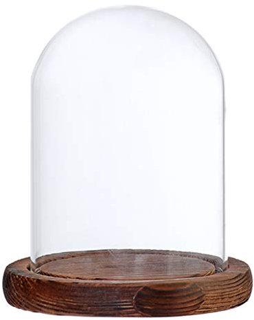 perfk Cupola di Vetro Vaso Forma di Campana di Vetro con Legno, Brown B