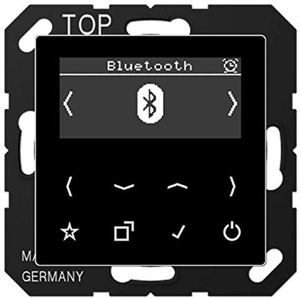 Jung DAB S AS/A Smart-Radio, DAB+ und Bluetooth, Schwarz