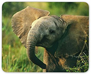 Destination Vinyl Ltd Adorable Baby Elephant Mouse Mat Pad - Elephants Mum Sister Computer #13014