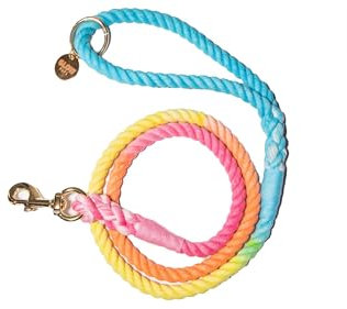Regenbogen-Hundeleine, hübsche Leine, Seilleine für große Hunde, Leine für mittelgroße Hunde, niedliche Leine, handgefertigte Leine, Baumwollleinen, Hundeleine, Ombré-Leine (Regenbogen)