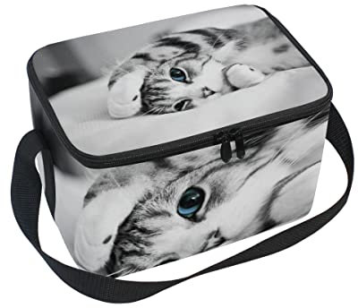 Lonchera de gatito gris aislada bolsa de almuerzo grande para niños, mujeres y hombres