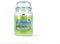 Magic Lights - Kerze im Glas 510 g Mojito mit pflanzlichem Wachs min. 75% - Docht aus natürlichem Holz, der knistert, hergestellt in Italien