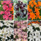 lilien zwiebeln winterhart mehrjährig - lilie exotische pflanzen garden blumenwiese topf pflanze gartenblumen garten lilien kübelpflanzen blumen deko blumenzwiebeln 6pcs