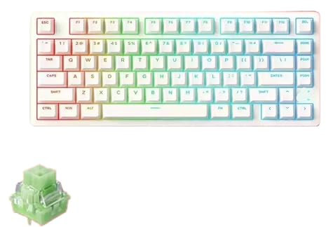 QPSJXN McHose Jet75 Clavier mécanique Filaire avec commutateurs magnétiques 8k Taux de sondage à Chaud Swap Faible Latence RVB Accessoires de Jeu Personnalisables Divers systèmes(Starlight Switch)