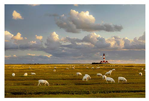 Bilderwelten Natur Fototapete 3D inkl. Kleister 384x255cm - Vliestapete Made in Germany - Fototapete Strand Schlafzimmer - Leuchtturm Tapete Natur - Fototapete Meer Wohnzimmer Flur T_2039