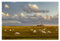 Bilderwelten Natur Fototapete 3D inkl. Kleister 384x255cm - Vliestapete Made in Germany - Fototapete Strand Schlafzimmer - Leuchtturm Tapete Natur - Fototapete Meer Wohnzimmer Flur T_2039