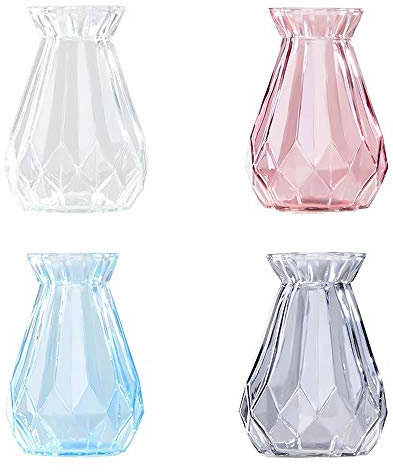 Toruiwa. 4X Hyazinthe Glasvase,Hyazinthenglasm,Hyazinthen Glas,Transparent Blüten Vasen,für Sukkulenten/Luftanlagen Pflanzen Dekoration(14,5x8cm,W+B+R+G)