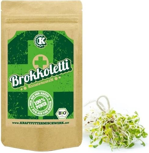 Bio Brokkolisamen (Sorte Rabe) zum Keimen - 500g - verlässlich hoher Sulforaphangehal