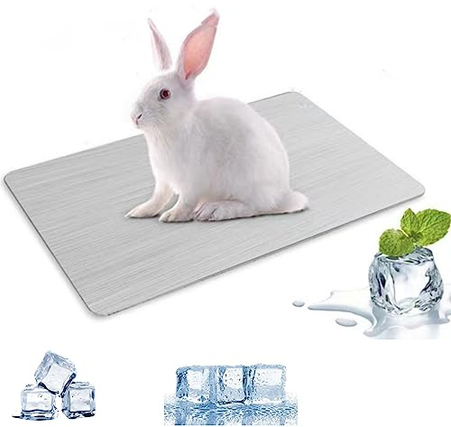 MUYYIKA Cojín de refrigeración para conejos, cojín de refrigeración para mascotas, placa de refrigeración de aleación de aluminio, para cobayas, hámster, conejo, etc. (300 x 200 mm)