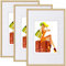 WOLTU Bilderrahmen 13x18 cm Set of 3 Fotorahmen aus Kunststoff mit Passepartout, Posterrahmen zum vertikalen oder horizontalen Aufhängen/Aufstellen, Collage Wanddeko, Gold