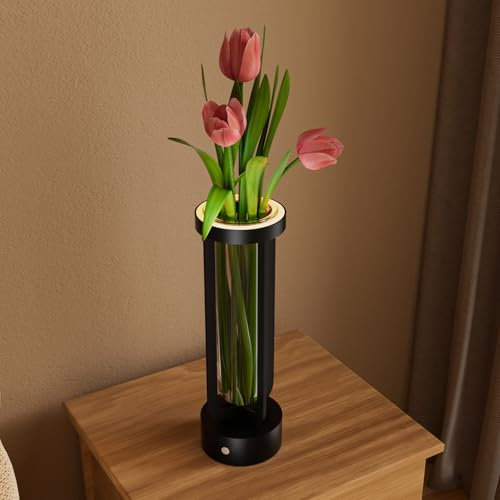 LGMCF Wiederaufladbare beleuchtete Vase Glas, 3000mAh Dimmbare Kabellos LED Vase Tischlampe, Moderne Blumen Pflanzen Vase Licht für Deko Wohnzimmer, Zimmer, Studie