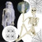 Halloween Skelett, Skelett mit Spinnennetz und Spinne 40 cm Halloween Plastikskelet Skelett mit beweglichen Gelenken für die Beste Halloween Dekoration