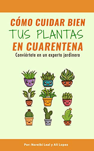 como cuidar bien tus plantas en cuarentena: conviértete en un experto jardinero
