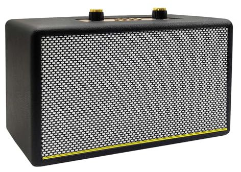 Altavoz Bluetooth retro portátil con entrada auxiliar de radio FM, puerto USB, ranura para tarjeta micro SD, altavoces inalámbricos alimentados por batería, regalos para el hogar, aula, fiesta