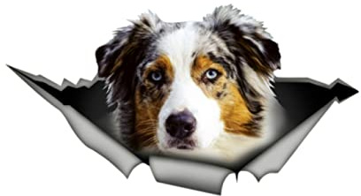 MUEdie 13 cm * 7 cm Australian Shepherd Auto Aufkleber Personalisierte PVC wasserdichte Aufkleber Laptop LKW Motorrad Auto Zubehör