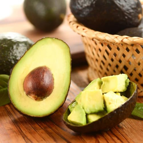 10 Pcs Avocado Samen, Winterharte Kübelpflanzen, Obstbäume Kaufen, Persea Americana, Steingartenpflanzen Winterhart, Obstsamen Winterharte Pflanzen Für Balkon, Bonsai Samen Winterharte
