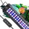 Pawfly Aquarium LED-Licht mit vollem Spektrum brillante weiße blaue rote Lichter mit Tag & Nacht-Modi und einstellbare Helligkeit ausziehbare Aluminium-Licht für 30 bis 45 cm Fischbecken