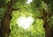 decomonkey Fototapete Wald Natur 350x256 cm XXL Tapete Wandbild Bild Fototapeten Tapeten Wandtapete Wandtapeten Baum Herz