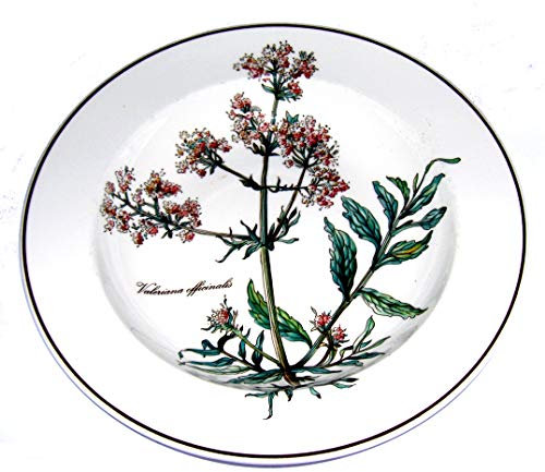 Villeroy & Boch Botanica Assiette Creuse 21 cm Motiv Ohne Wurzel