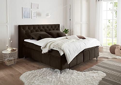 Froschkönig24 Pembroke Boxspringbett 160x200cm Espresso, Ausführung:Variante 2