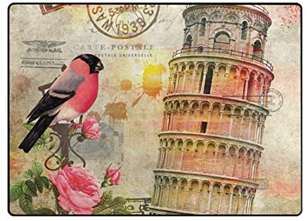 Mnsruu Großflächige Teppiche 160 x 122 cm, Vintage Tower Of Pisa Birds Fußmatte Moderne Wohn- & Schlafzimmer Weicher Teppich