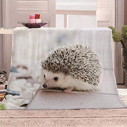 Igel Kuscheldecke Flauschig 130x150 cm Tier Fleecedecke auch als Wohndecke, Tagesdecke, Sofadecke Wohnzimmer Geeignet Überwurf Decke Sofa Kinder Erwachsene Weich und Warme Decke