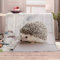 Igel Kuscheldecke Flauschig 130x150 cm Tier Fleecedecke auch als Wohndecke, Tagesdecke, Sofadecke Wohnzimmer Geeignet Überwurf Decke Sofa Kinder Erwachsene Weich und Warme Decke