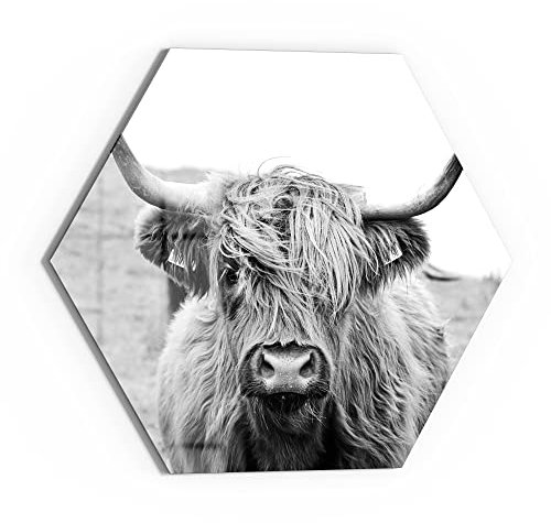 DEQORI Glasbild Echtglas | Motiv Zotteliges Hochlandrind | sechseckig einteilig 55x47,6 cm | schöne Dekoration | Wandbild für Wohnzimmer, Schlafzimmer, Flur & Küche | moderne Wanddeko