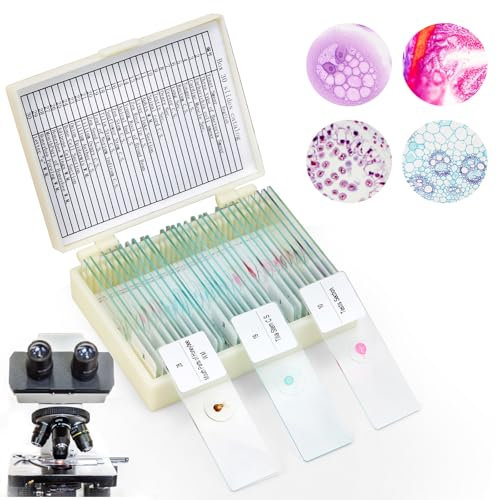 30 Microscope Slides with Biological Samples, Plants Insects Human Cell for Laboratory Biology and Science Study, Microscope Accessories, Permanent Preparations for Microscope (30)