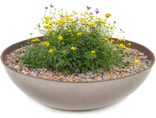 matches21 Pflanzschale für draußen - Dekoschale in Rost-Optik dunkel-grau als Blumentopf Pflanztopf - hohe Schale in 45 cm für Garten, Balkon oder Friedhof als Grab-Schmuck