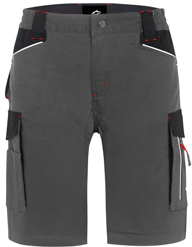 BWOLF Daytona Short de Travail Homme, Stretch Résistant, Multi-Poches Fonctionnelles, Confort Idéal pour Chantier, Artisan, BTP, gris, XXL