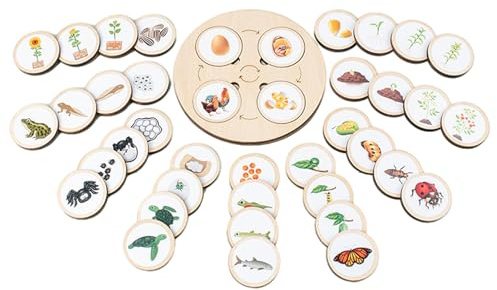 Puzzle Del Ciclo De Vida - Tabla De Crecimiento De Madera De Haya De 20 Cm | De Madera Con Rejillas, Bandeja Educativa Temprana, Para 3-6 Años De Aprendizaje De La Naturaleza Para