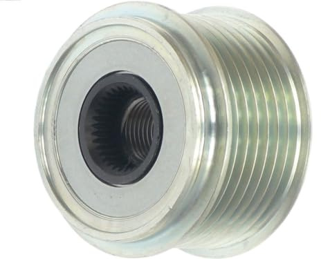 AS-PL Generatorfreilauf Riemenscheibe Lichtmaschine 021903119J 94860313500 95560315200 Kompatibel mit VW Touareg 7LA, 7L6, 7L7 Phaeton 3D1, 3D2, 3D3, 3D4, 3D6, 3D7, 3D8, 3D9, AUDI Q7 4LB, PORSCHE