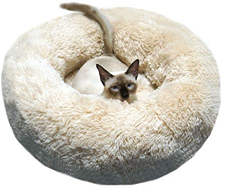 BODISEINT Modern Soft Plush Round Pet Bed for Cats or Small Dogs, Mini Medium Sized Dog Cat Bed Self Warming Autumn Winter Indoor Snooze Sleeping Cozy Kitty Teddy Kennel (M(23.6”Dx7.9 H), Champagne)