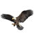3D Adler Auto Aufkleber, MoreChioce 2 Stück Auto Motorhaube Aufkleber Wasserfest Auto Fliegender Adler Vinyl Aufkleber DIY Dekoration Sticker für Fenster Stoßstange Laptop Wand,26cm x17cm #B