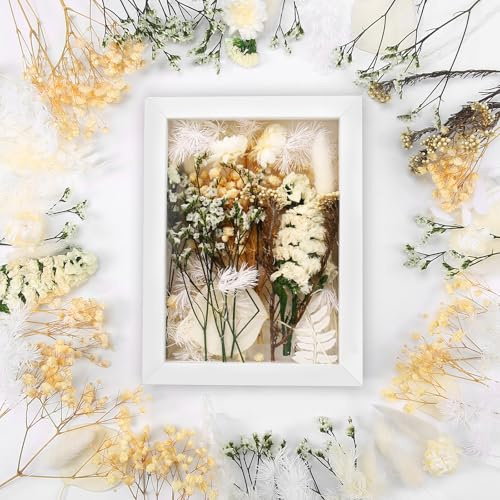 Toumdafine Getrocknete Blumen,trockenblumen zum basteln, Weiße getrocknete Blumen mit Album, Natürliche getrocknete Blumen Set für Home Decor, DIY trockene Blumen, Scrapbooking, Crafts.