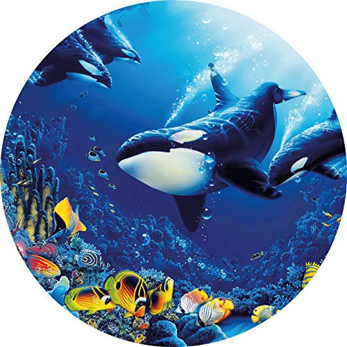 Vlies-Tapete Meerestiere | Unterwasserwelt Fototapete rund für Kinderzimmer | Vlies Bildtapete mit Orca und Fischen in Blau