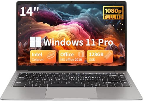 BINTEC 14 Inch Thin and Light Ultrabook Laptop(Only 1.25kg), Celeron N4100 DDR4,1920 x 1080 IPS, Win 11 Pro/Office 2019 High Performance Beginners Notebook PC,2×USB 3.0,Mini HDMI (Gray, 8G+128G)