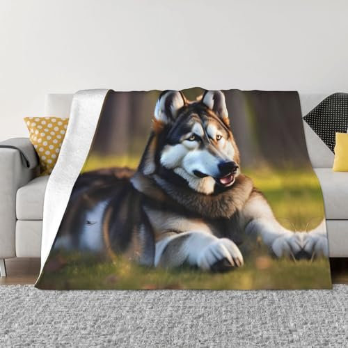 Ultraweiche Micro-Fleece-Decke mit Husky-Hundemotiv, für Bettwäsche, Sofa und Reisen