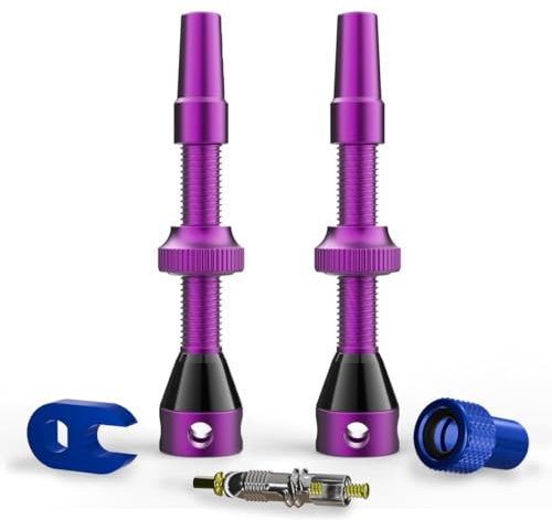 Shredr. Tubeless Ventile Set | Presta Ventile für Schlauchlos-Reifen | Superleichtes Alu, bunt eloxiert, französisches Ventil | inkl. Ventil-Adapter, Ersatz-Ventil und Werkzeug. (Purple, 44mm)