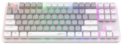 Dark Project ALU87A Onionite Wired Gaming Mechanische Tastatur (US English, ANSI) - TKL 80% | RGB | Schalter G3MS Amber Geschmiert | Geschmierte Stabilisatoren | Hot-Swap